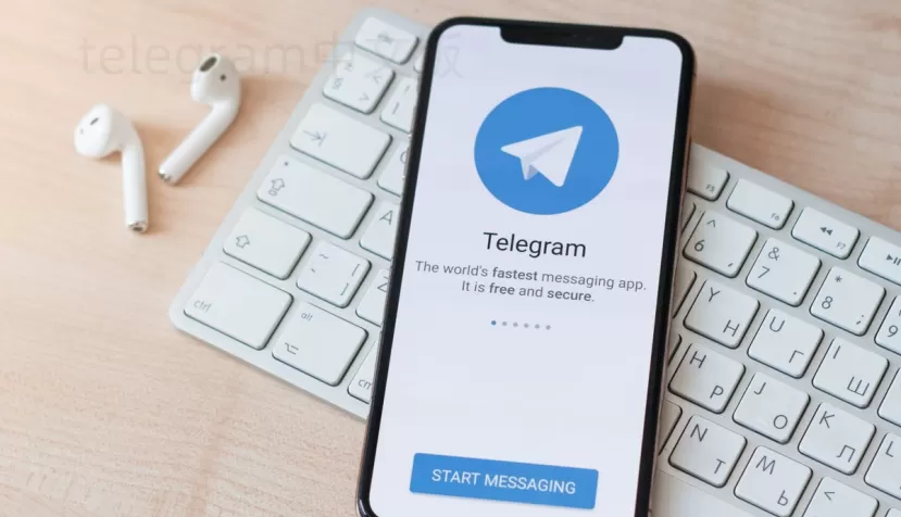 Telegram缓存图片存在哪个文件夹? 一